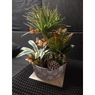 Plant Arrangement in a Basket 30 cm